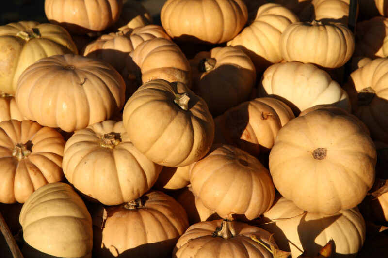 Blühendes Barock Ludwigsburg