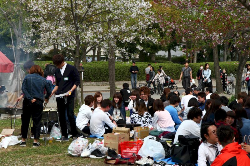 Kirschblüten-Picknick am Osaka Castle