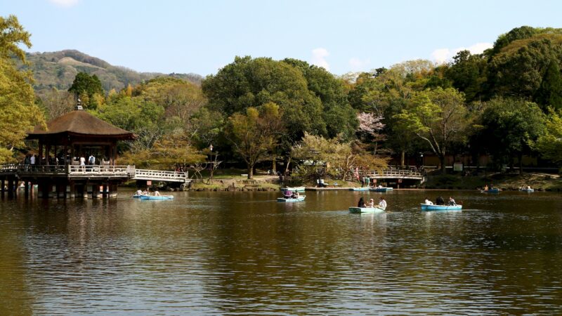 Nara Park