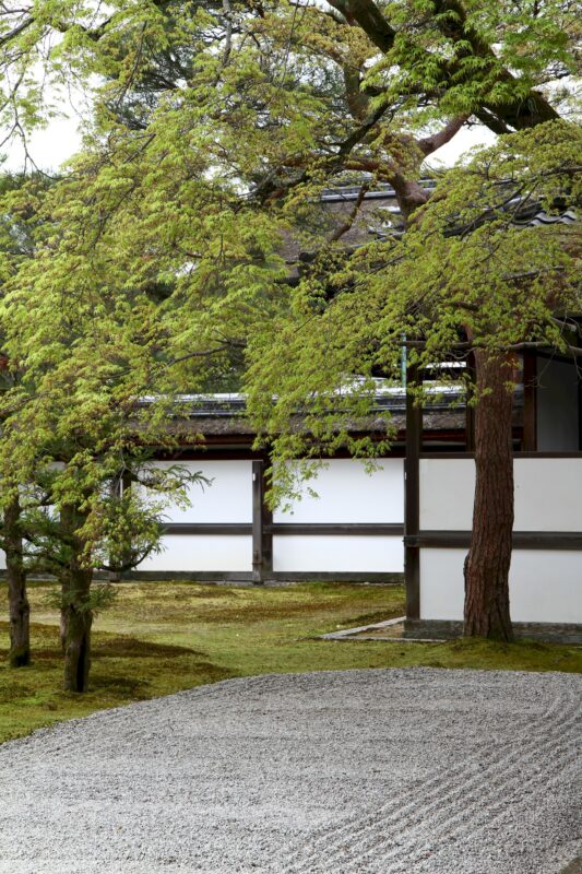 Ninna-ji
