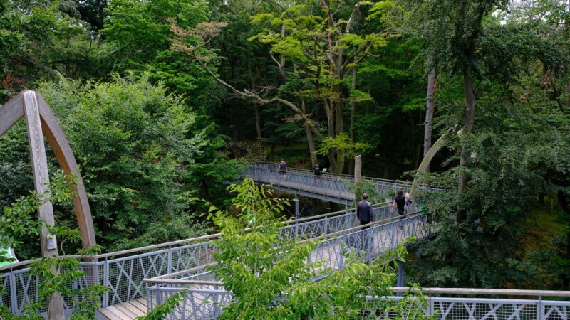 Silberhochzeit am Edersee im Juli 2020