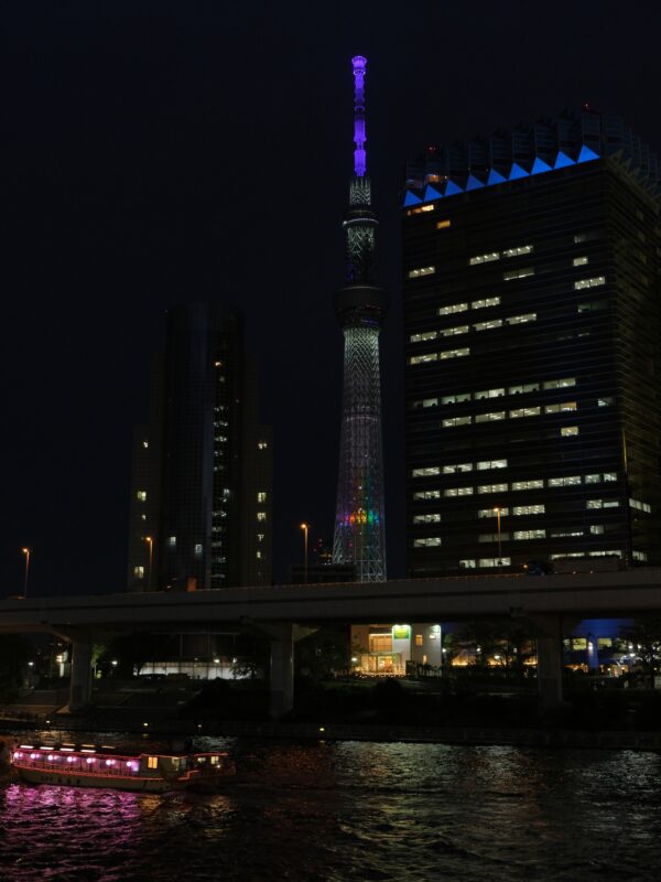 Tokyo Skytree am Abend / 東京スカイツリー