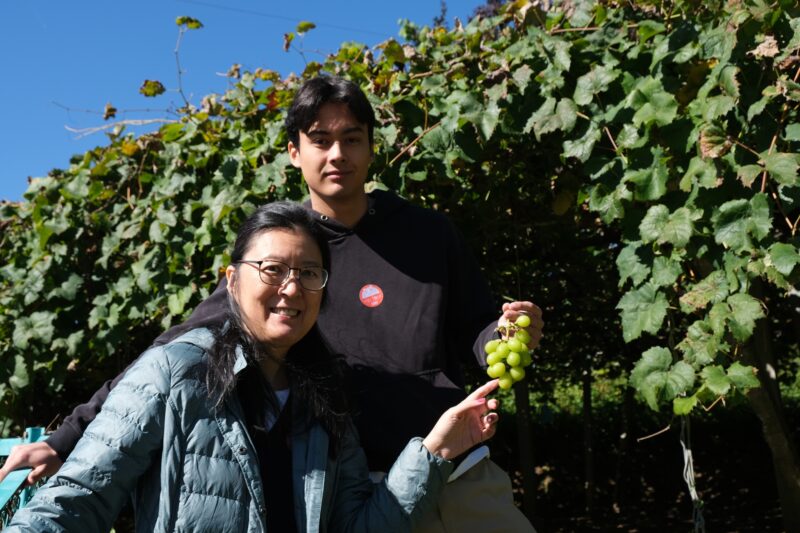 Aoi und Felix mit den leckeren "Shine Muscat" Weintrauben