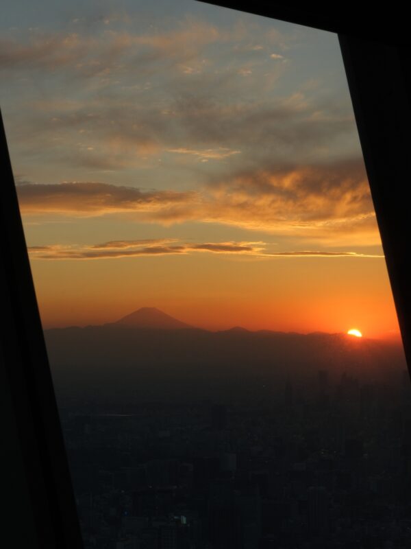 Blick vom Skytree über Tokyo auf den Fuji-san im Abendlicht