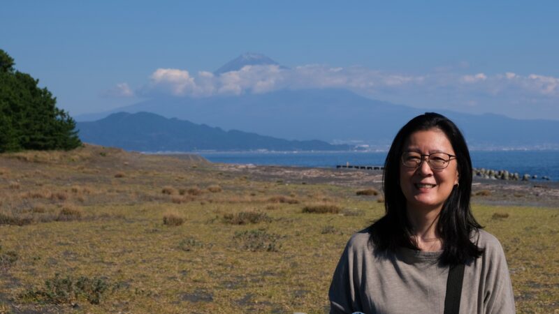 Aoi vor dem Fuji-san (富士山) von Shimizu (清水) aus gesehen