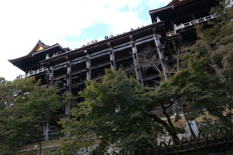 Die Säulen des Kiyomizu-dera (清水寺)