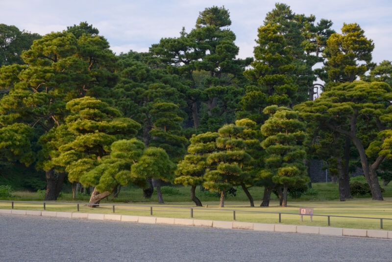 Park des Kaiserpalastes Tokyo