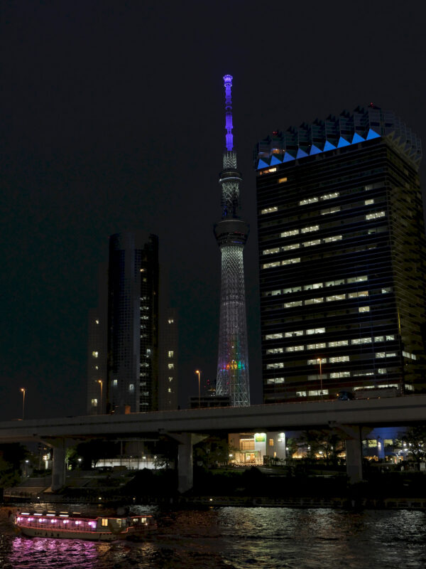 Tokyo Skytree am Abend / 東京スカイツリー