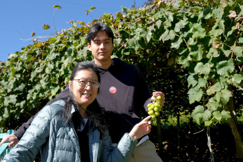 Aoi und Felix mit den leckeren "Shine Muscat" Weintrauben