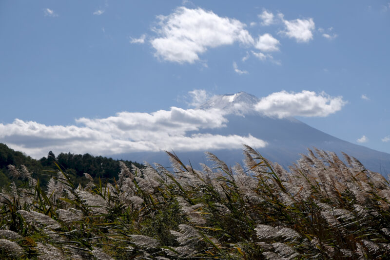 Blick auf den Fuji-san vom Kawaguchi-ko