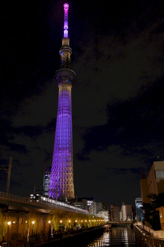 Der Tokyo Skytree bei Nacht in lila