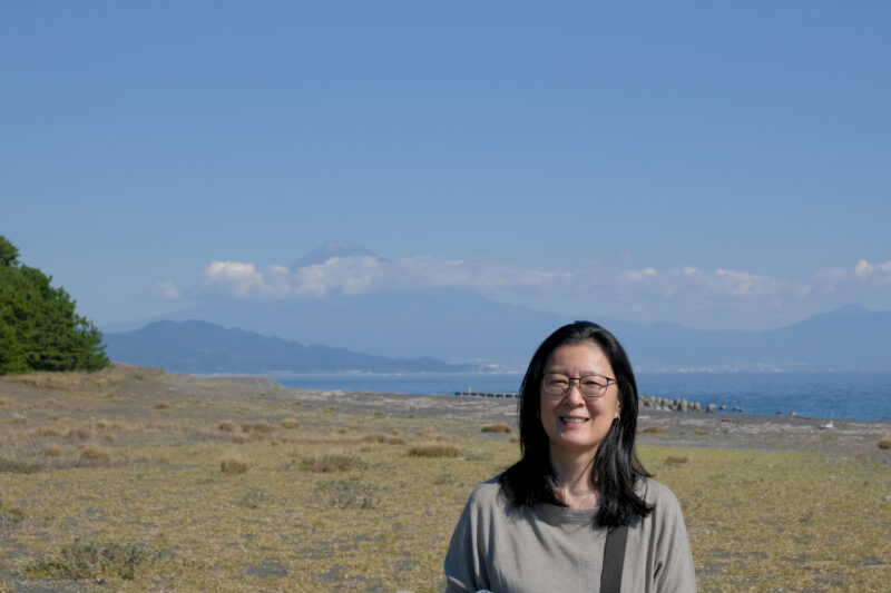 Aoi vor dem Fuji-san (富士山) von Shimizu (清水) aus gesehen