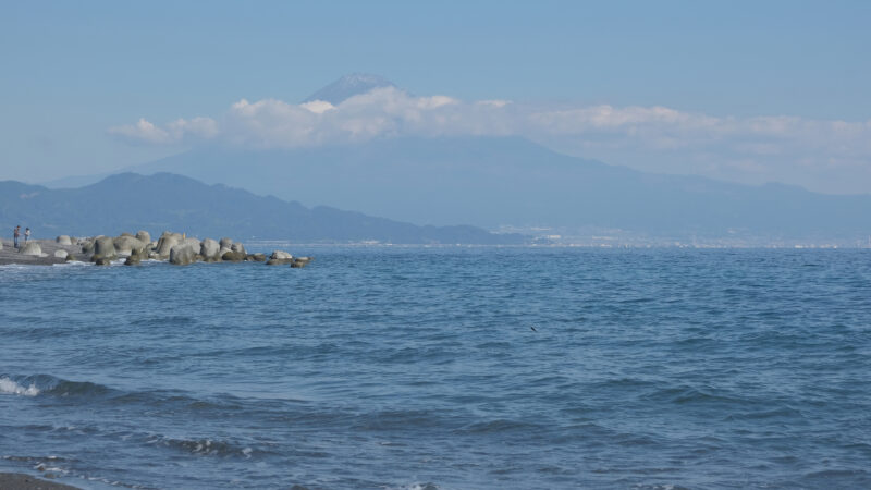 Blick auf den Fuji-san (富士山) vom Pinien-Wald (清水羽衣公園) von Shimizu